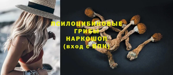 синтетический гашиш Елизово