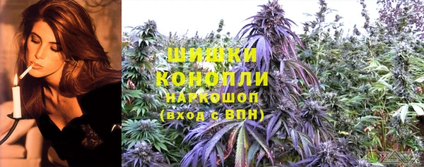 дживик Елабуга