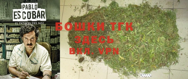 дживик Елабуга