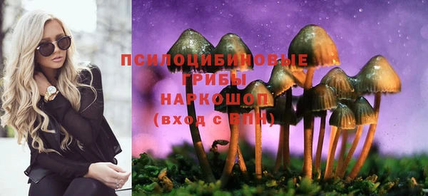 синтетический гашиш Елизово