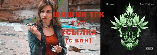 дживик Елабуга