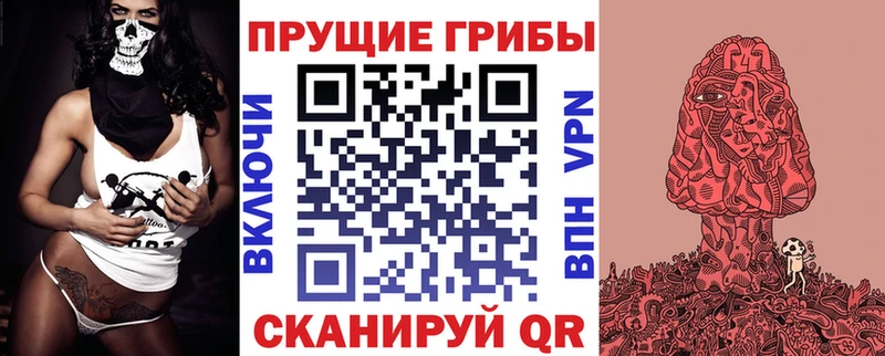 Купить где  Ирбит  Галлюциногенные грибы MAGIC MUSHROOMS 